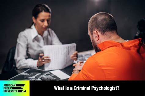 Criminal Psychologist Internships: Gateway to the Labyrinth of Criminal Minds