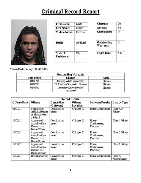 Criminal Record Template