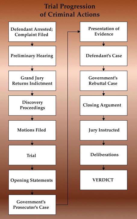 Criminal Trial Process Flow Chart