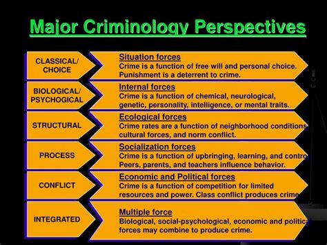 Criminological Theory PDF