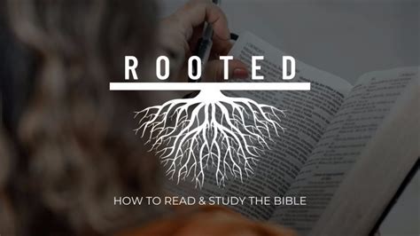 Critical Analysis of Rooted Bible Study: Unveiling the Merits and Limitations