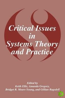 Critical Issues in Systems Theory and Practice 1st Edition Kindle Editon
