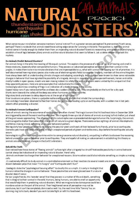 Critical Series Disasters Answer Key Monsters Reader