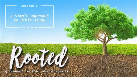 Criticism of the Rooted Bible Study Approach