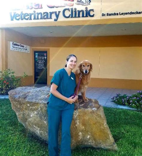 Critter Care Animal Hospital: The Ultimate Guide to Compassionate Pet Care