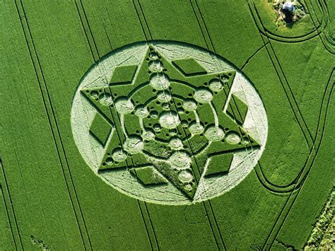 Crop Circles the mystery continues Reader