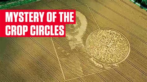 Crop Circles the mystery continues Reader