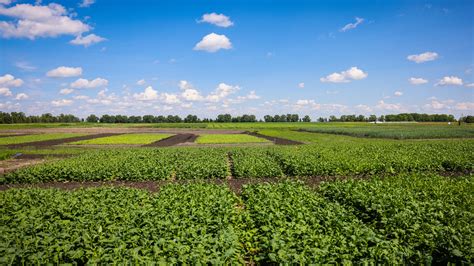 Crop Production: