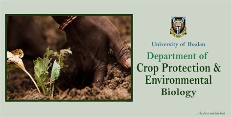 Crop Protection and Environment Epub