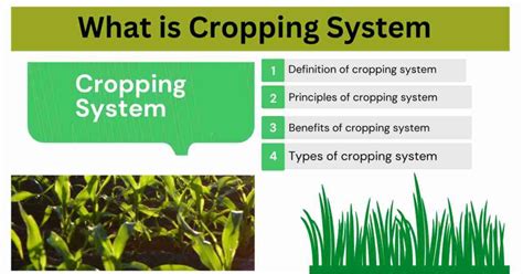 Cropping and Farming Systems Epub