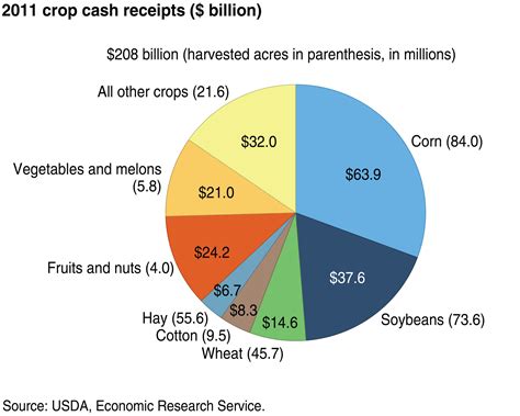 Crops Grown to Sell and Make Money: A Comprehensive Guide to High-Value Produce