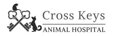 Cross Keys Animal Hospital: Your Trusted Partner in Pet Care