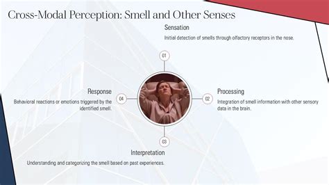 Cross-Modal Perception: Exploring the Interplay of the Senses