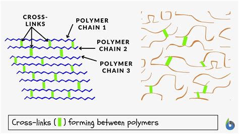 Crosslinking and Scission in Polymers PDF