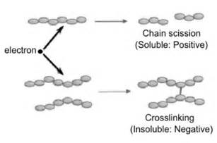 Crosslinking and Scission in Polymers PDF