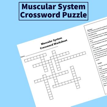 Crossword Puzzles On Muscular System With Answer Key Kindle Editon