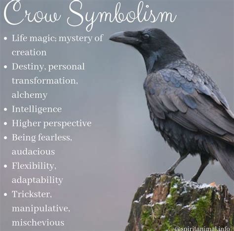 Crow Dress: A Symbol of Mystery and Intrigue