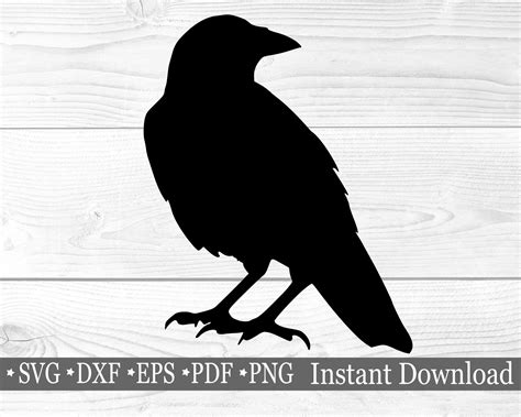 Crow Printable Images
