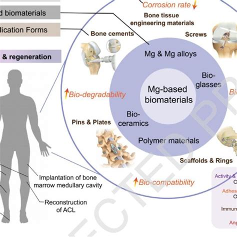 Crow Spit: Unlocking a Novel Field of Biomaterial Applications