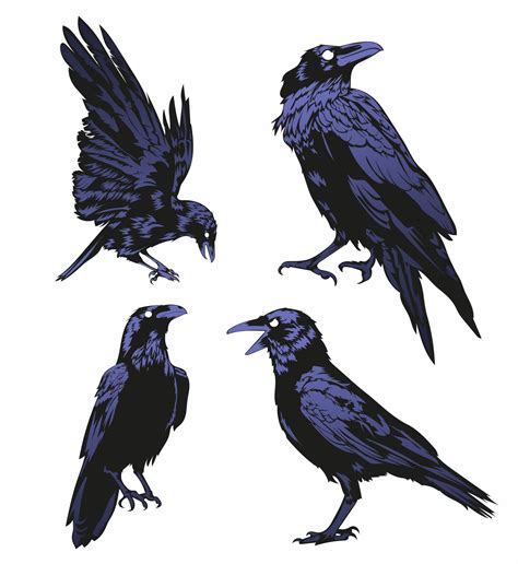 Crow Vector Doc