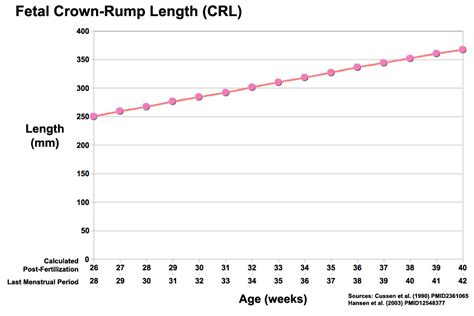 Crown To Rump Length Chart