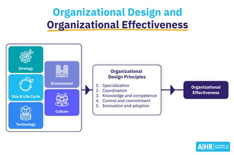 Crucial Considerations: Important Decisions to Be Made While Designing an Organization