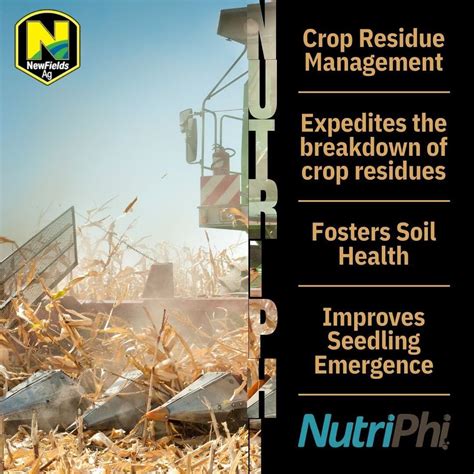 Crusher Fertilizer: 3 Key Benefits That Will Revolutionize Your Farming Practices