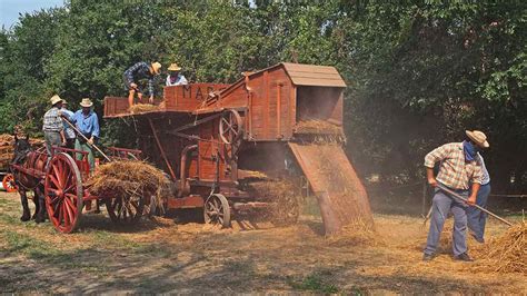 Crusher Fertilizer: The Paramount Guide to an Agricultural Revolution