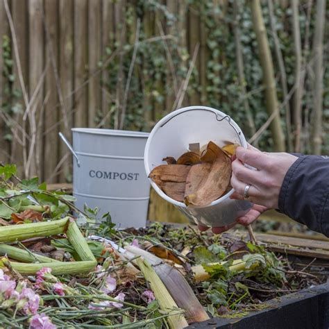 Crusher for Compost: 10,000 Ways to Enhance Soil Health