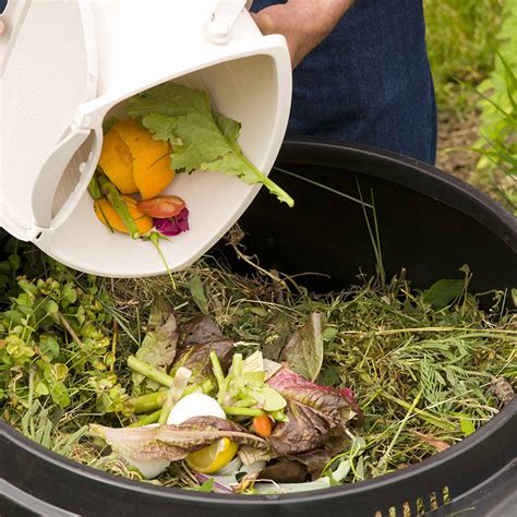 Crusher for Compost: 5-Step Guide to Transform Yard Waste into Soil Gold