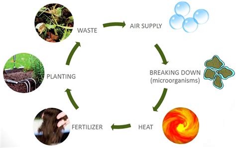 Crusher for Compost: A Comprehensive Guide to High-Efficiency Composting