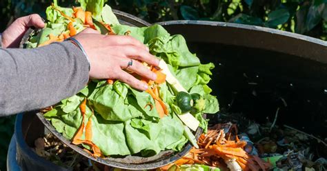 Crusher for Compost: The Ultimate Guide