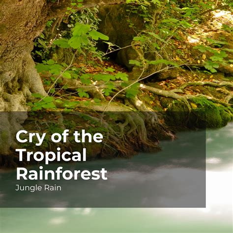 Cry of the Rainforest