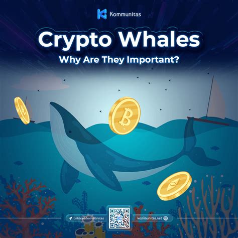 Cryptowhales: Defining the Titans