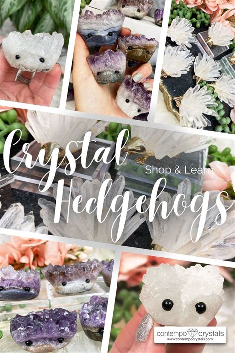 Crystal Hedgehogs: A Mystical Amalgam of Nature and Radiance