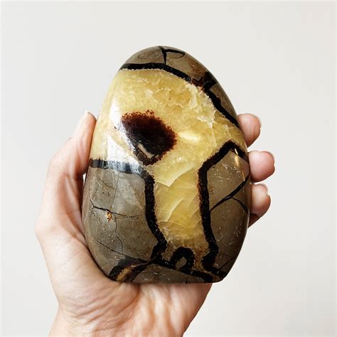 Crystal Septarian: The Mystical Stone That Heals and Protects