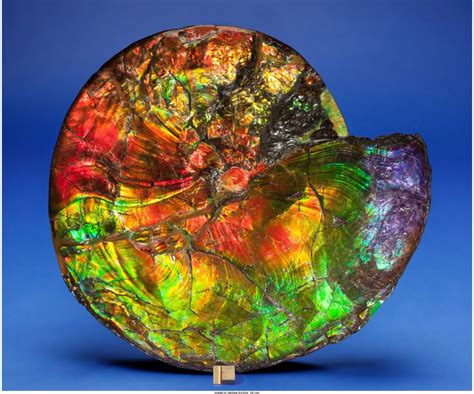 Crystal and Gemstone Extravaganza: Unearthing the Enchanting World of Earth's Treasures