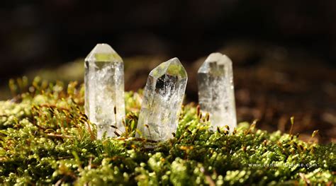 Crystalline Clarity: Unveiling the Allure of Clearish Green Crystals