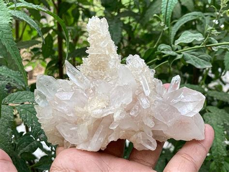 Crystalline Treasures: Exploring the Allure of Cloudy White Crystals