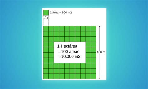 Cuántos Metros Tiene Una Hectárea: Una Guía Completa