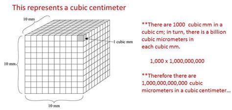 Cubic centimeters (cc)