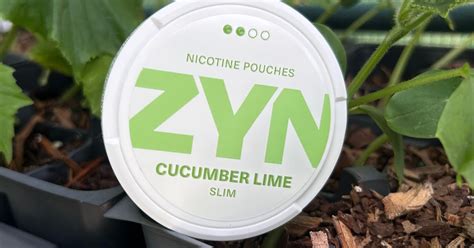 Cucumber Zyn