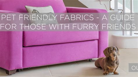 Cuddle Up with Comfort: A Comprehensive Guide to La-Z-Boy's Pet-Friendly Fabrics