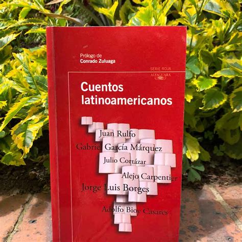 Cuentos latinoamericanos: AntologÃ­a Ebook Kindle Editon
