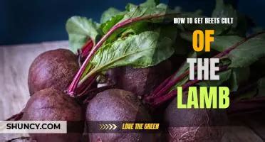 Cult of the Lamb Beets: A Comprehensive Guide to their Health Benefits and Culinary Versatility