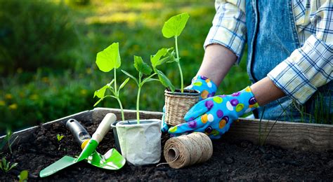 Cultivar cultivos: