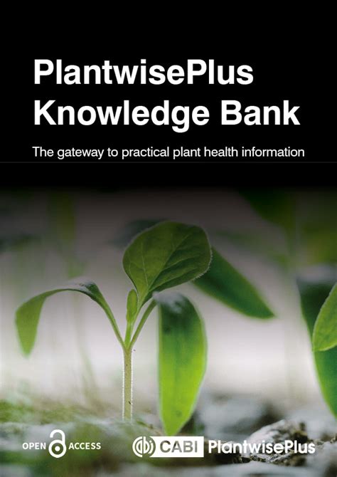 Cultivate a Knowledge Bank: