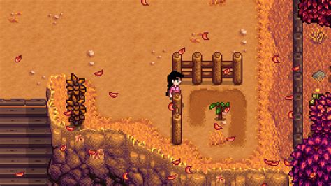 Cultivating Pomegranates in Stardew Valley