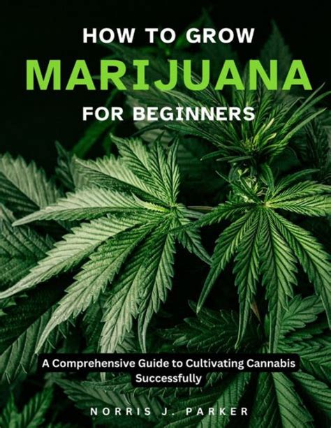 Cultivating the Perfect Indica Experience: A Comprehensive Guide for the Enthusiast