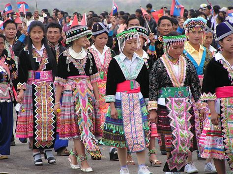 Culture and Customs of the Hmong Reader